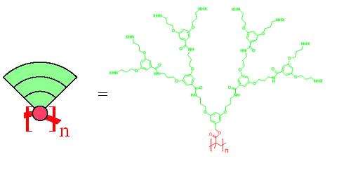 chemical structure of a third generation dendronized polymer