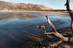 Borax Lake Site