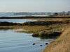 Stour Estuary