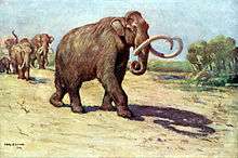 Columbian mammoth