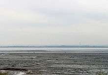 Benfleet and Southend Marshes