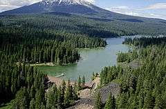 Forested land with a lake in the foreground and a snow-covered mountain in the background