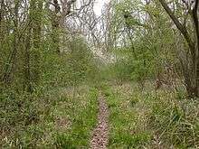 Swineshead Wood