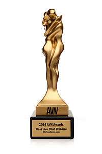 2014 AVN Award Statuette