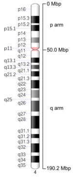 Map of Chromosome 4