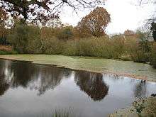 Littleworth Common