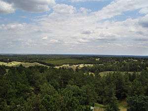 Forest and grasslands in the Bessey Ranger District.