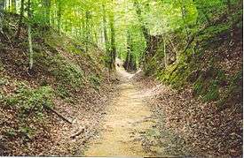 Old Natchez Trace