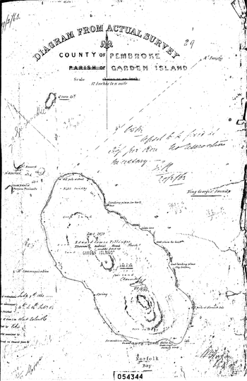 Formal survey of Smooth Island, 1863