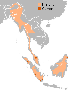 Sumatran rhino range