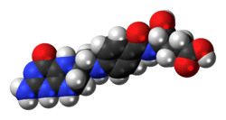 Space-filling model of the tetrahydrofolic acid molecule