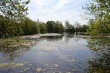 Wivenhoe Gravel Pit